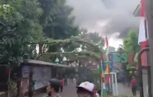 Detik-detik Gudang SDN 04 Srengseng Sawah Terbakar