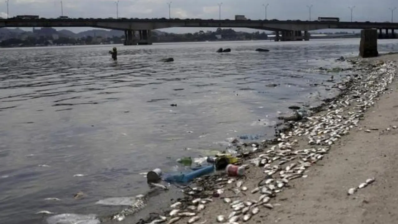 Atlet Olahraga Air Olimpiade Diminta Menutup Mulut Selama Tanding