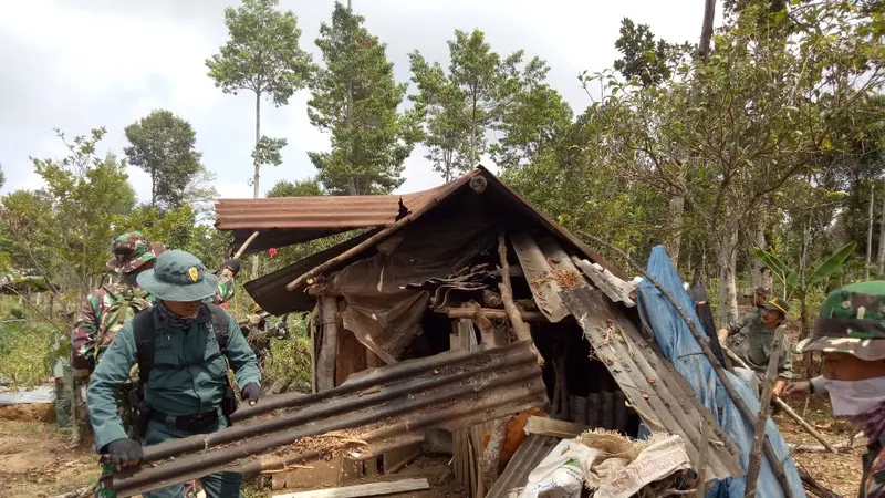 Sejumlah aparat gabungan TNI, Polhut dan lainnya tengah merobohkan bangunan semi permanen dalam operasi simpatik penyelematan lahan cagar alam di kawasan Kamojang, Garut, Jawa Barat