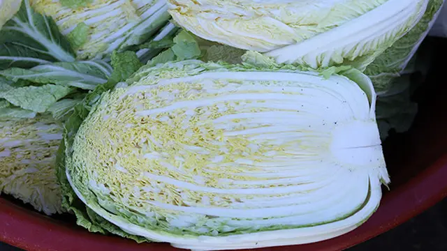 Rahasia Dapur, Tips Memasak Sawi agar Tidak Pahit