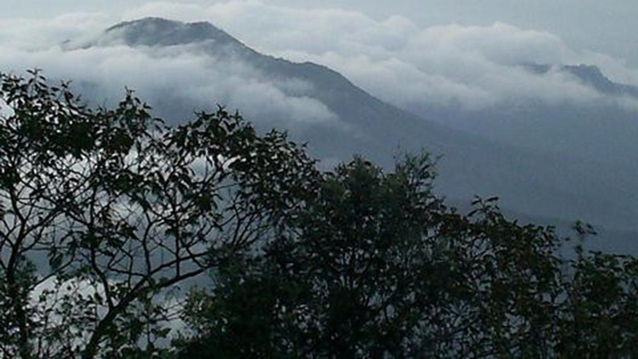 Hutan lereng Gunung Lawu kembali terbakar