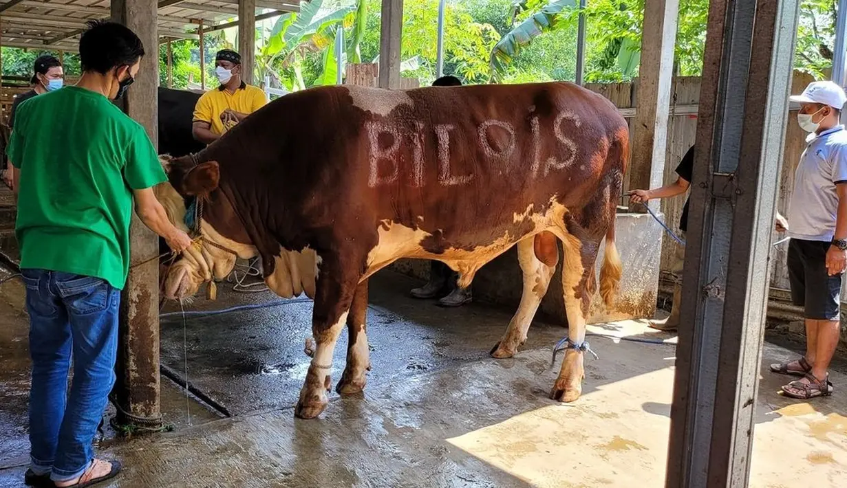 Ayu Ting Ting (Instagram/ayutingting92)