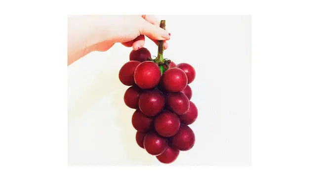 Penasaran seberapa mahal si harga buah "termahal" di dunia ini? berikut penampilannya. (Foto:herworldsg.com)