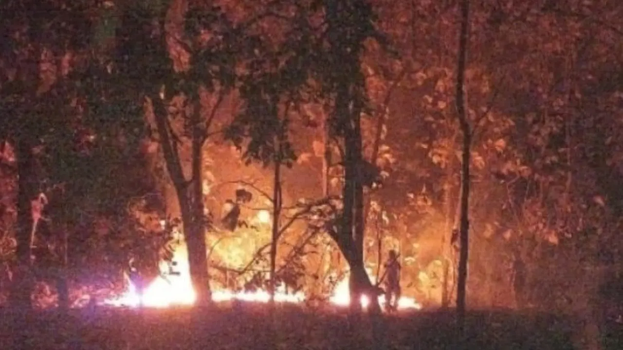 Baluran Kebakaran