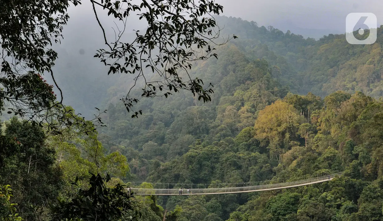 Suasana wisata Jembatan Gantung (Suspension Bridge) Situ Gunung, Sukabumi, Jawa Barat, Minggu (20/9/2020).  Jumlah wisatawan yang berkunjung ke Jembatan Gantung terpanjang se-Asia Tenggara tersebut menurun drastis. (merdeka.com/Iqbal S. Nugroho)