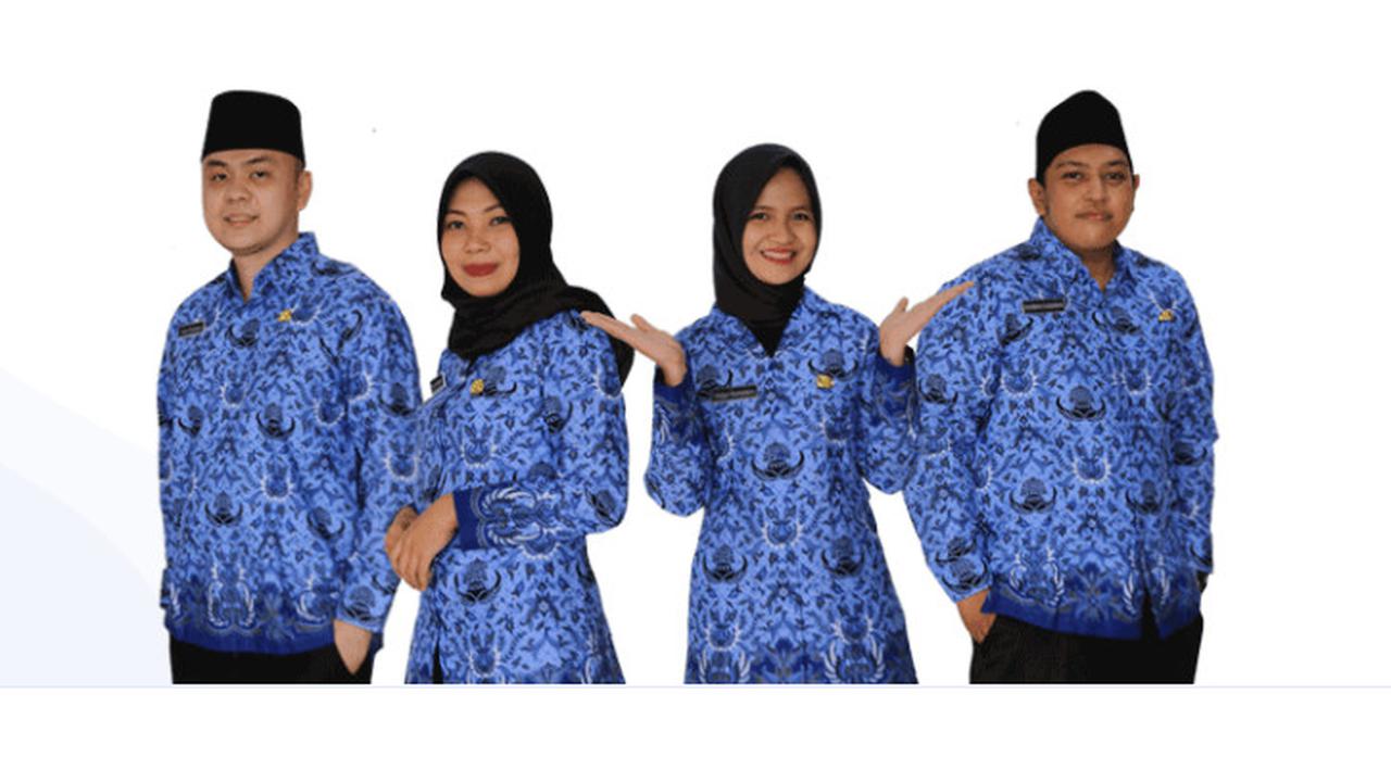 ASN atau PNS. Dok https://sscasn.bkn.go.id/