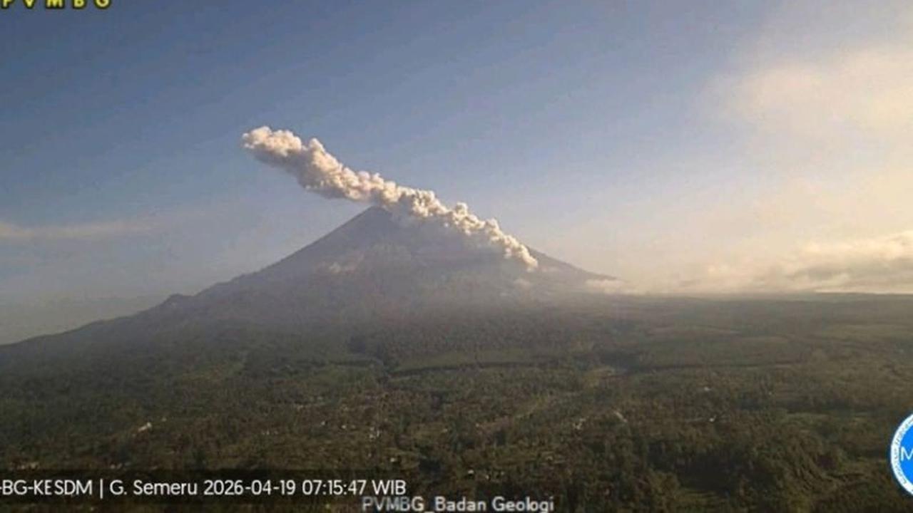 Gunung Semeru Erupsi Pagi Ini, Awan Panas Guguran Sejauh 4 Km Meluncur