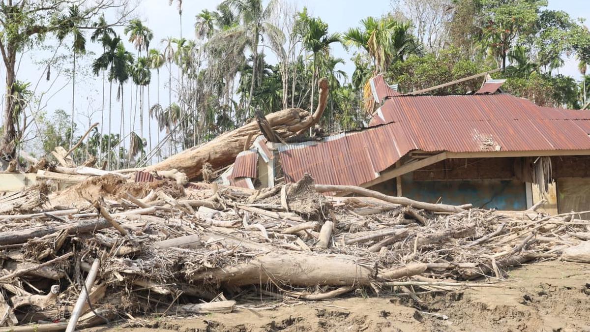 Satgas PRR Percepat Pemanfaatan Kayu Hanyutan untuk Rehabilitasi Pascabencana