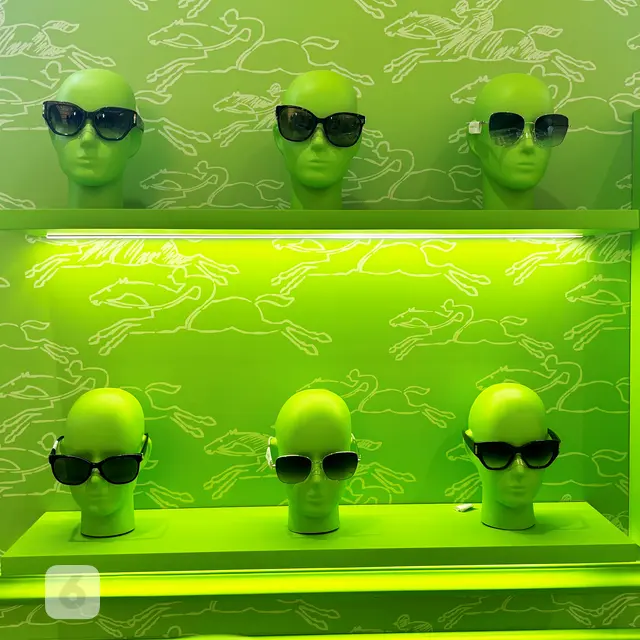 Optik Seis X Longchamp