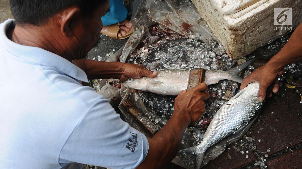 Penjualan Ikan Bandeng Rawa Belong Melonjak Jelang Imlek