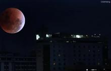 7 Peran Penting Bulan buat Perlindungan Bumi