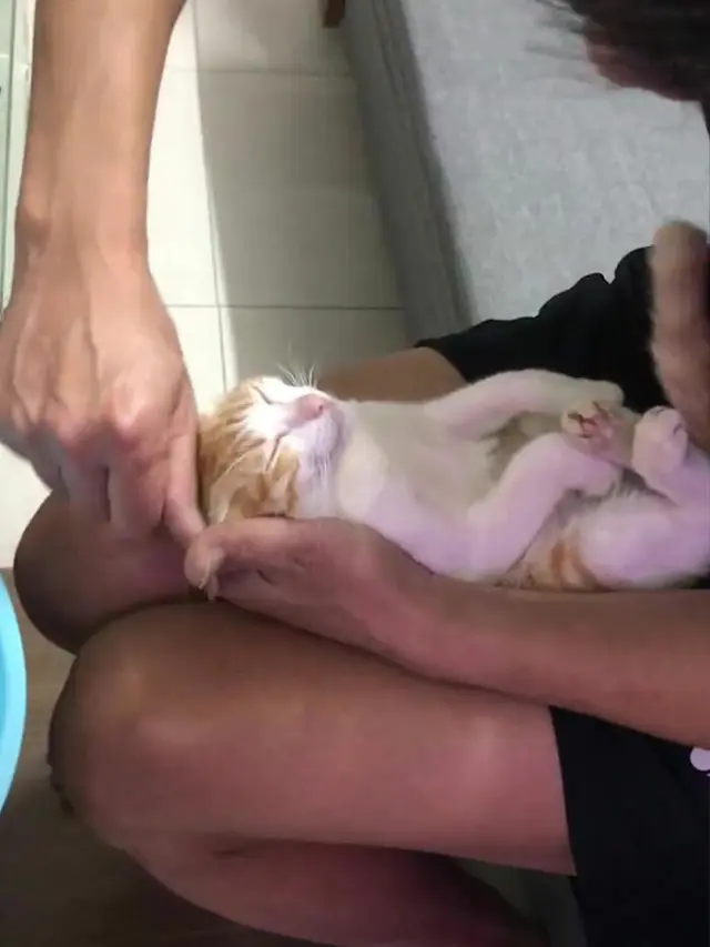 cara mandikan bayi