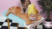 Alasan Menggemaskan di Balik Perilaku Kucing yang Suka Memijat Anabul Lain dan Tuannya