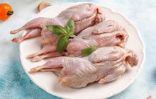 Rahasia Memasak Burung Puyuh agar Empuk dan Lezat