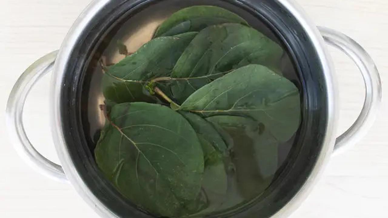 5 Jenis Jamu untuk Penderita Kolesterol agar Tetap Bugar