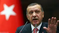 PM Turki: Israel di Balik Penggulingan Morsi