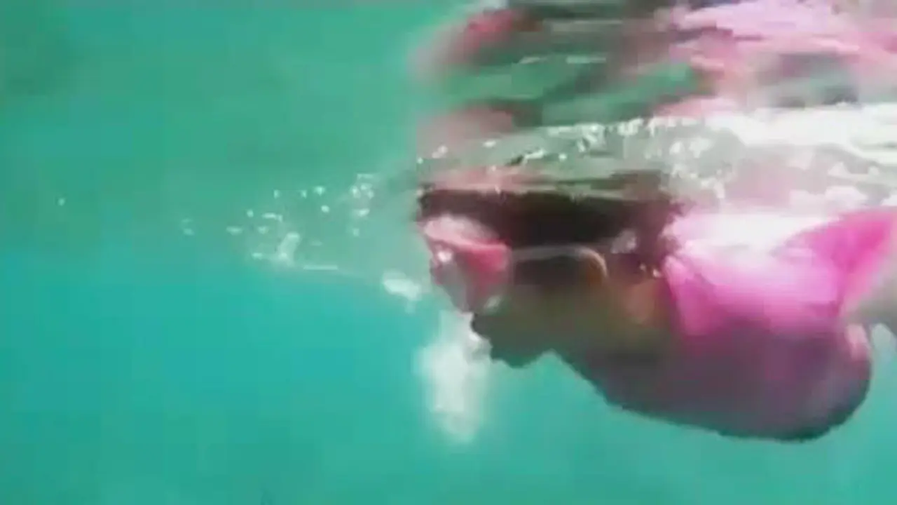  Sensasi Berenang Bersama Ratusan Ikan di Pulau Derawan