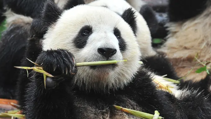 Courtesy ShutterStock.com