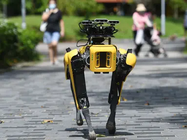 SPOT, robot anjing yang dapat mendeteksi apakah pengunjung memakai masker atau tidak menjalani uji coba putaran keduanya di Bishan Park Singapura, 22 September 2020. Uji coba ini bagian dari upaya melawan penyebaran COVID-19. (Xinhua/Then Chih Wey)