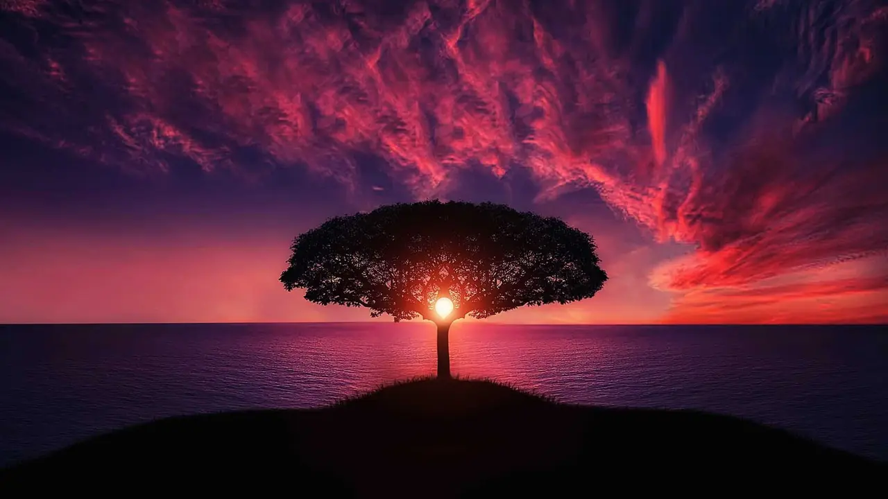 Senja