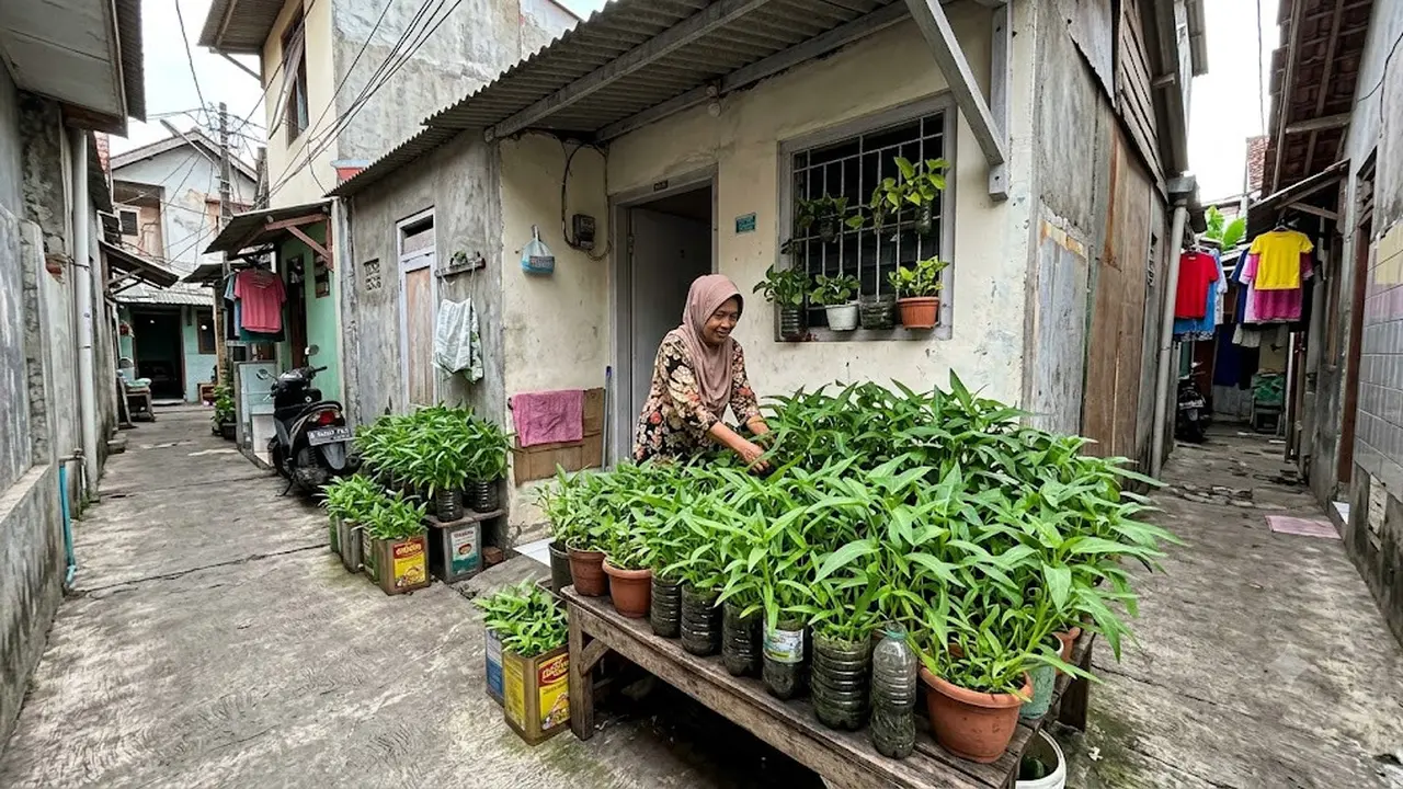 Sayuran yang Tetap Subur di Wadah Kecil