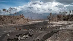 Petugas penyelamat melakukan operasi pencarian pascaerupsi Gunung Semeru di Desa Curah Kobokan, Lumajang, Jawa Timur, 10 Desember 2021. Erupsi Gunung Semeru mengakibatkan 45 orang meninggal, sembilan orang hilang, 20 orang luka berat, dan 82 orang luka ringan. (Juni Kriswanto/AFP)