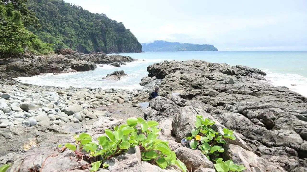 [reservasi]teluk hijau banyuwangi