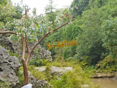 Pemandangan di kawasan objek wisata Air Terjun Sri Gethuk, di Kabupaten Gunungkidul, Yogyakarta, Sabtu (11/11). Wisatawan harus menempuh perjalanan melintasi Sungai Oya sepanjang 400 meter. (Liputan6.com/Herman Zakharia)