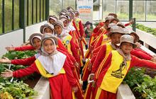 Rayakan Hari Anak Nasional, BRI Peduli Tanamkan Pendidikan Karakter Anak Lewat Kegiatan Agroedukasi