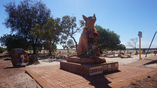 Patung anjing tersenyum menandai gerbang pemakaman Corrigin Dog Cemetery yang terkenal di Australia Barat (Liputan6.com/Happy Ferdian)