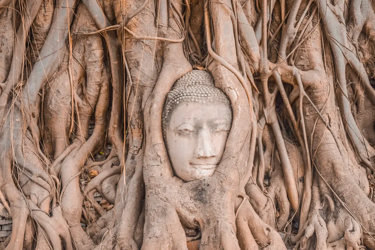 Pariwisata Ayutthaya