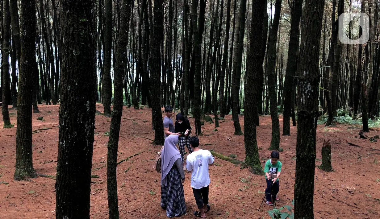Pengunjung menikmati suasana kawasan wisata Gunung Bunder, Bogor, Jawa Barat, Minggu (15/11/2020). Meskipun pandemi covid-19 belum berakhir, namun sejumlah lokasi wisata mulai dipadati pengunjung dengan tetap menerapkan protokol kesehatan. (Liputan6.com/Immanuel Antonius)