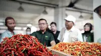 Harga Cabai Merah Makin Pedas, Bapanas Ungkap Penyebabnya