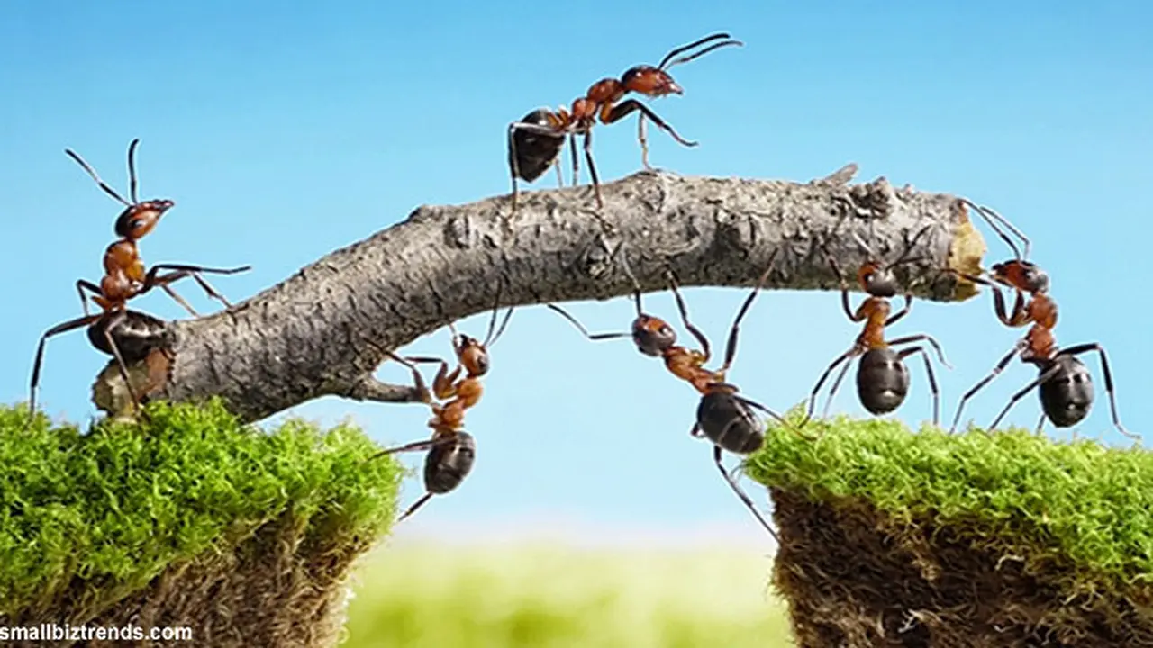 teamwork130524b.jpg