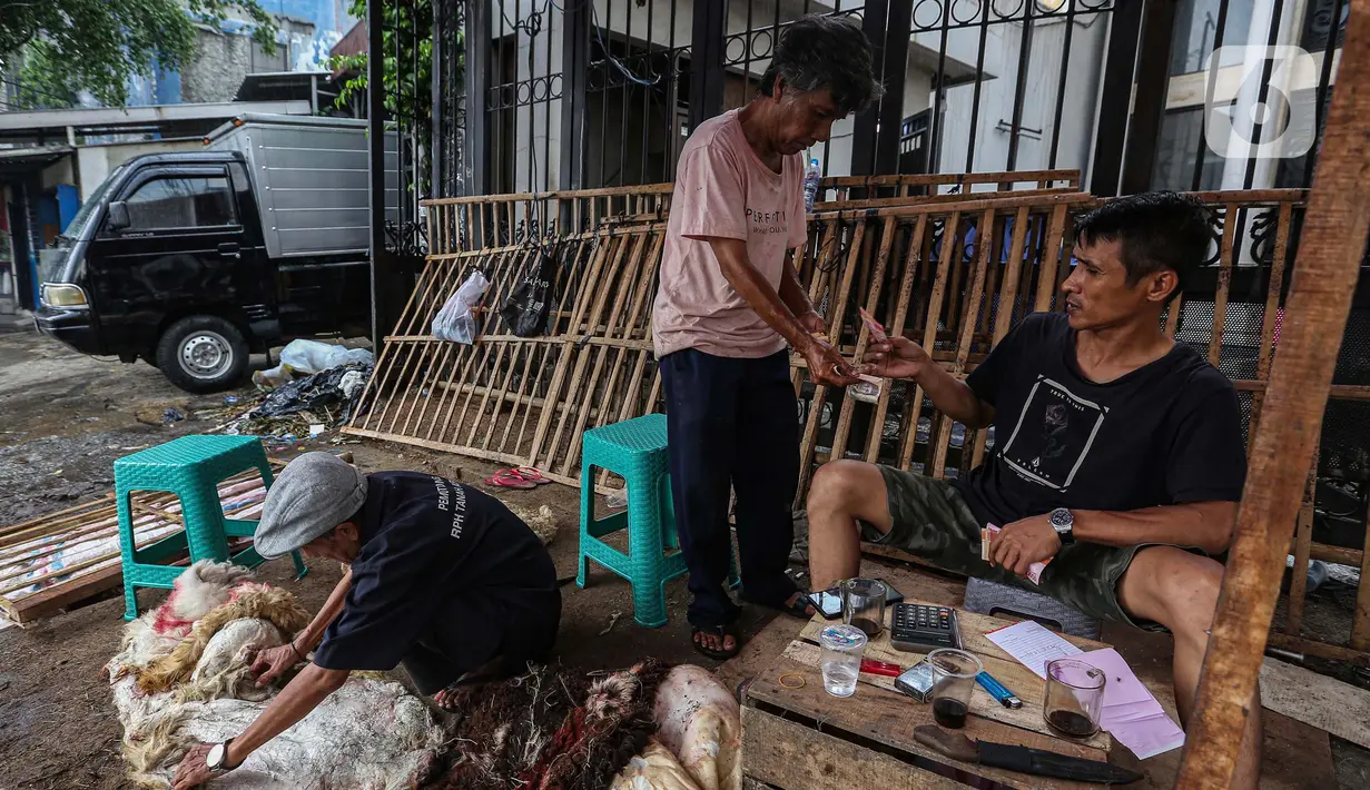 Pengepul melakukan pembayaran kulit hewan kurban di Tanah Abang, Jakarta Pusat, Selasa (18/6/2024). (Liputan6.com/Angga Yuniar)