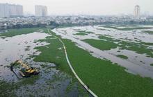 FOTO: Penampakan Luas Eceng Gondok yang Nyaris Menutupi Waduk Pluit