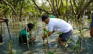 Penanaman 300 Pohon Mangrove di Kawasan Ekowisata Wonorejo