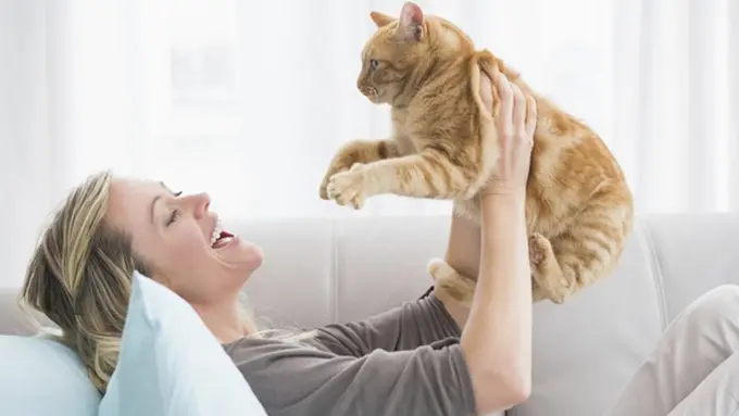 Foto: copyright thinkstockphotos.com