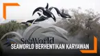 Seaworld memberhentikan sejumlah karyawannya yang ada diseluruh negara. Pengurangan karyawan ini bertujuan untuk meningkatkan efisiensi perusahaan.