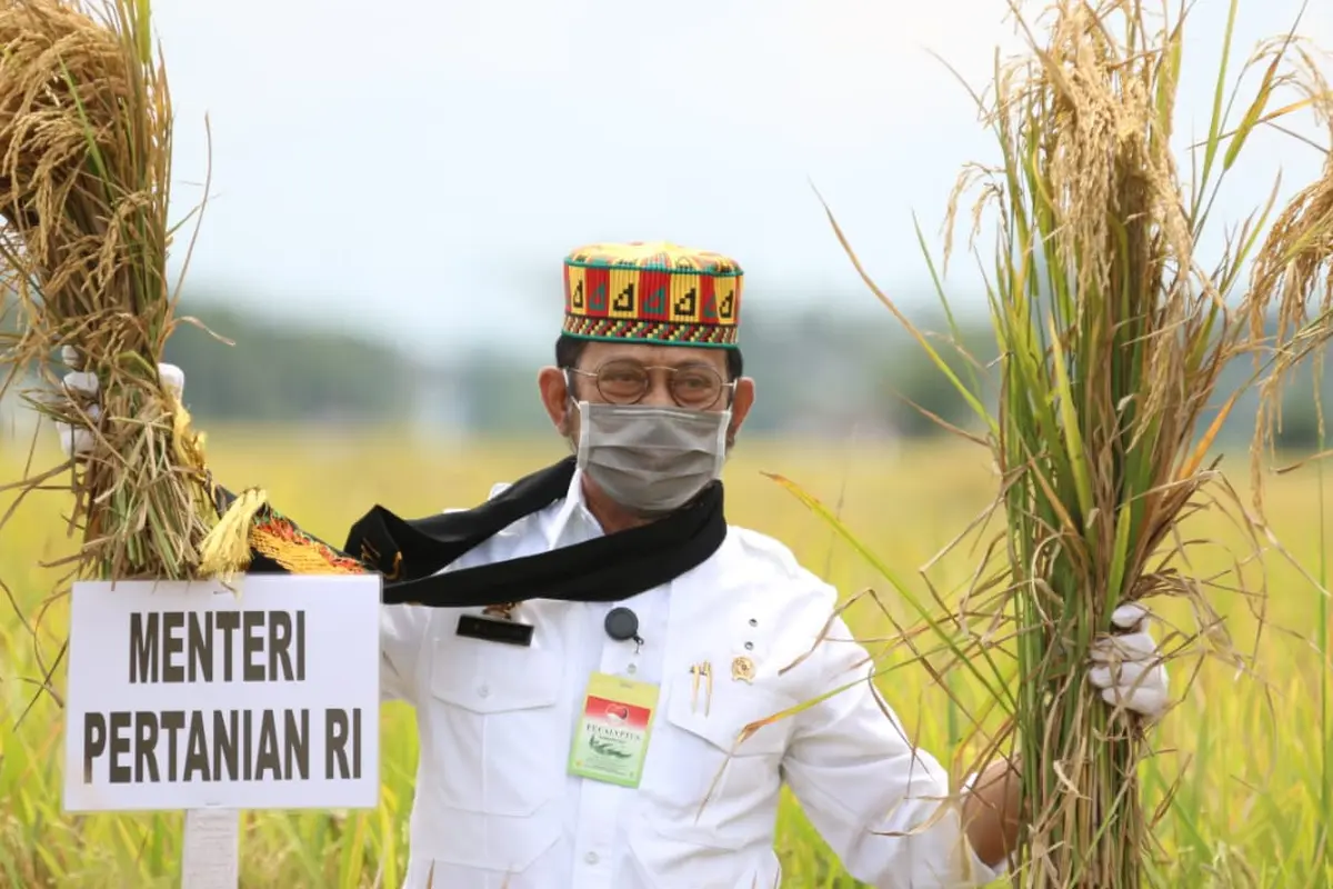 Panen Raya