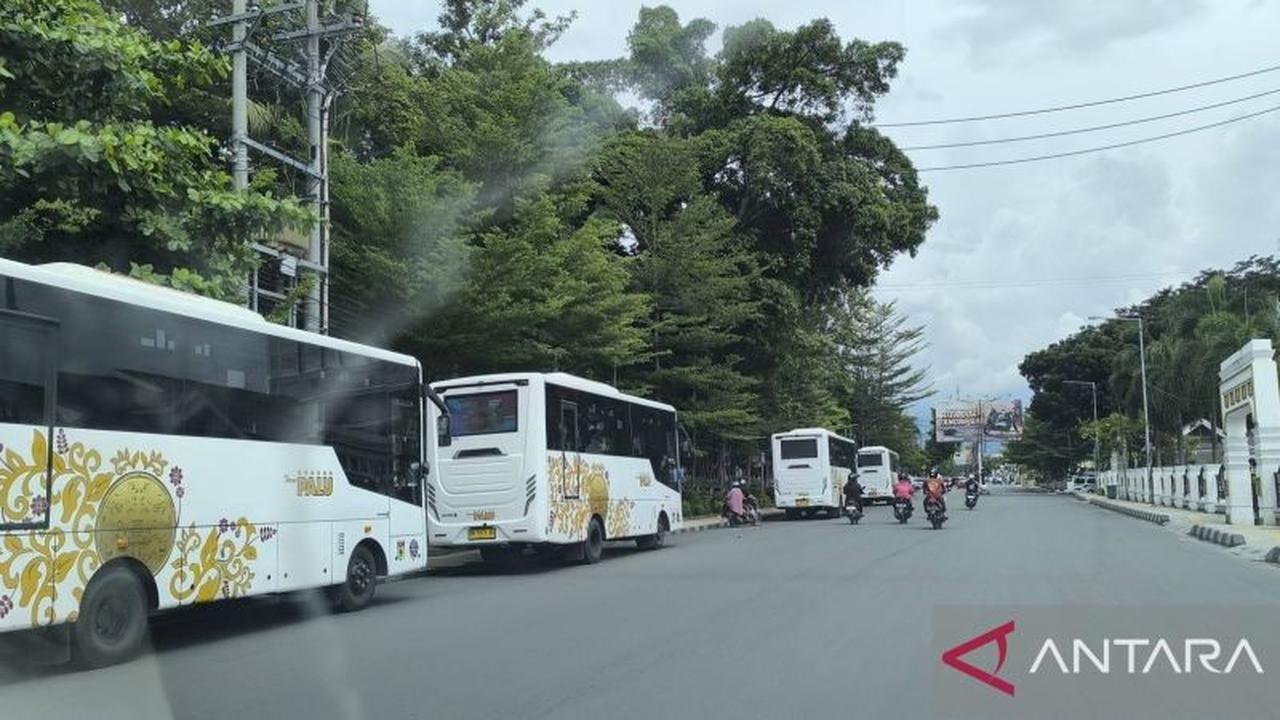 Mengapa Dihentikan Sementara? Layanan Bus Trans Palu Disetop, Ini Alasan Pemkot Palu Bangun 32 Halte Baru
