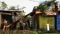 Sebuah pohon tumbang dihantam ngin kencang dari Topan Mangkhut di kota Tuguegarao di provinsi Cagayan, Filipina timur laut (15/9). Pemerintah Filipina mengeluarkan perintah evakuasi untuk 5,2 juta warganya akibat topan Mangkhut. (AP Photo/Aaron Favila)