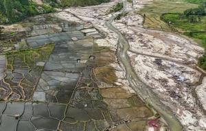 Foto udara sawah terdampak bencana. (AntaraFoto/Raisan Al Farisi)