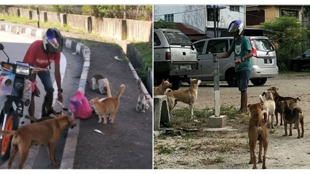 Salut, Tukang Parkir Ini Habiskan Lebih Dari Setengah Gajinya Untuk Beri Makan Hewan Liar