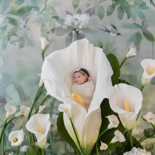 6 Potret Ultah Lily Anak Raffi dan Nagita ke-1 Tahun, Foto Baby Born Bikin Gemas