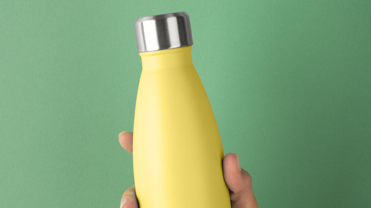 Tumbler Tuku Anita Dewi Hilang di KRL, Begini Evolusi Tumbler dari Zaman Prasejarah hingga Sekarang