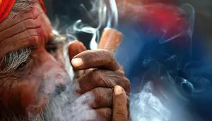 Provinsi Gandaki di Nepal Legalkan Ganja untuk Keperluan Medis