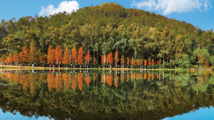 8 Destinasi Wisata Alam yang Wajib Didatangi Ketika Berlibur Ke Hong Kong