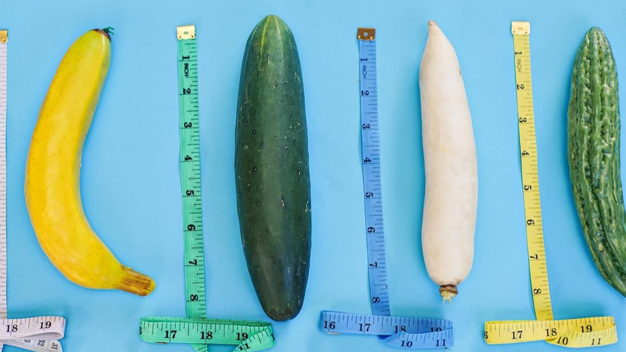 Ilustrasi Penis
