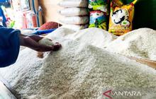 YLKI Soroti Polemik Harga Stok Beras: Meski Klaim Melimpah, Kenapa Masih Langka dan Mahal?